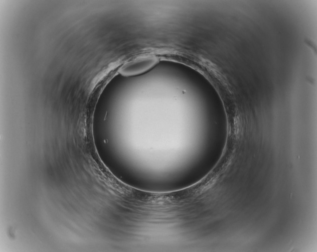 X0000100841165200806201143