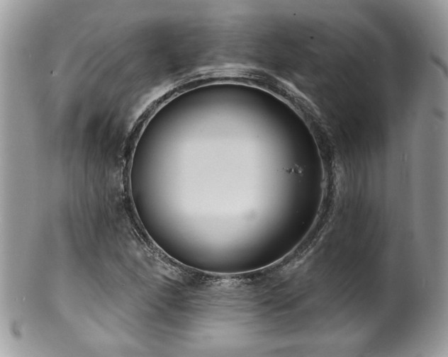 X0000100841166200806201143