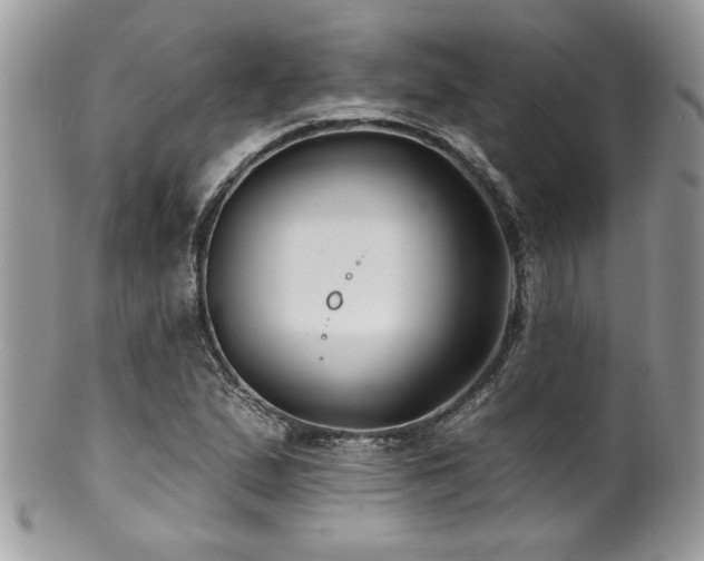 X0000100841167200806201143