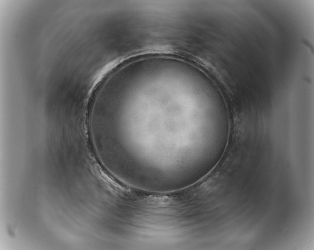 X0000100841168200806201143