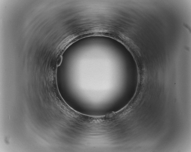 X0000100841169200806201143