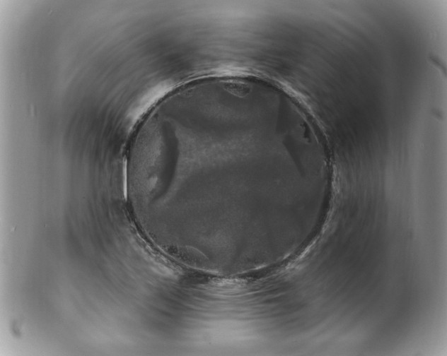 X0000100841171200806201143