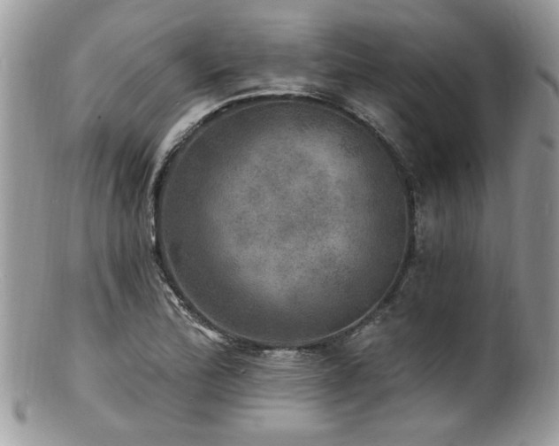 X0000100841172200806201143