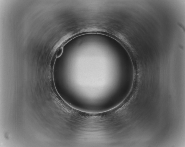 X0000100841173200806201143