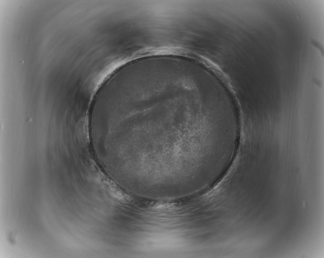 X0000100841174200806201143