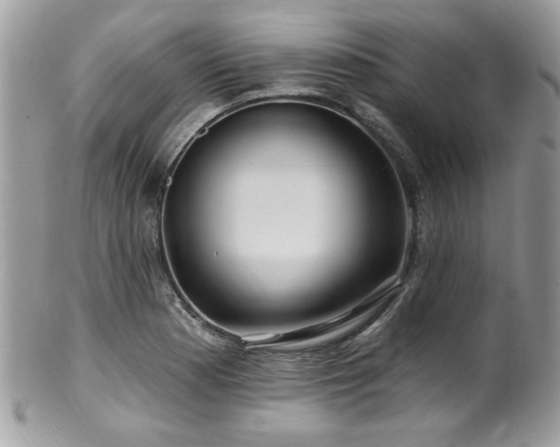 X0000100841177200806201143