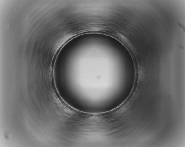 X0000100841178200806201143