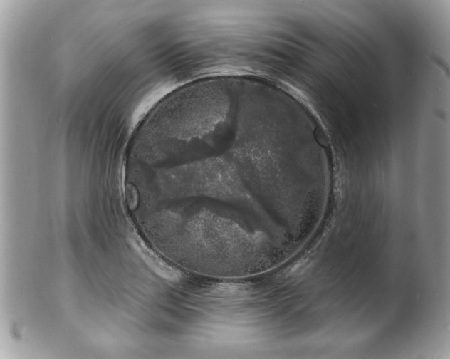 X0000100841179200806201143