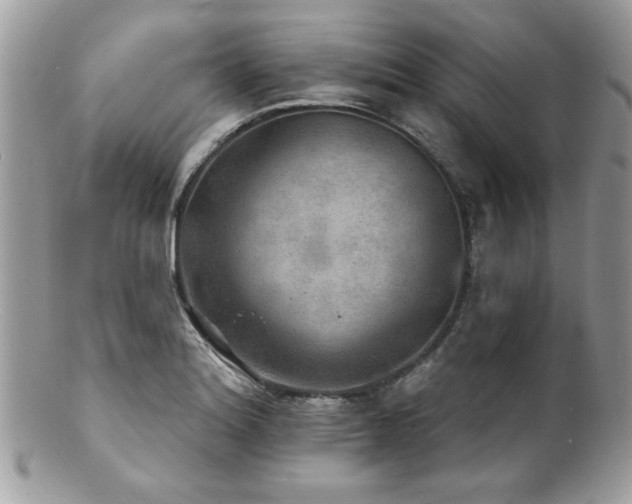 X0000100841180200806201143