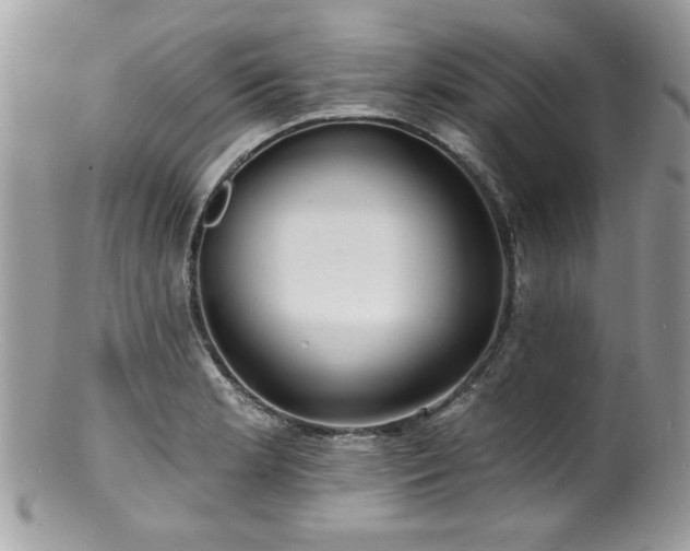 X0000100841181200806201143