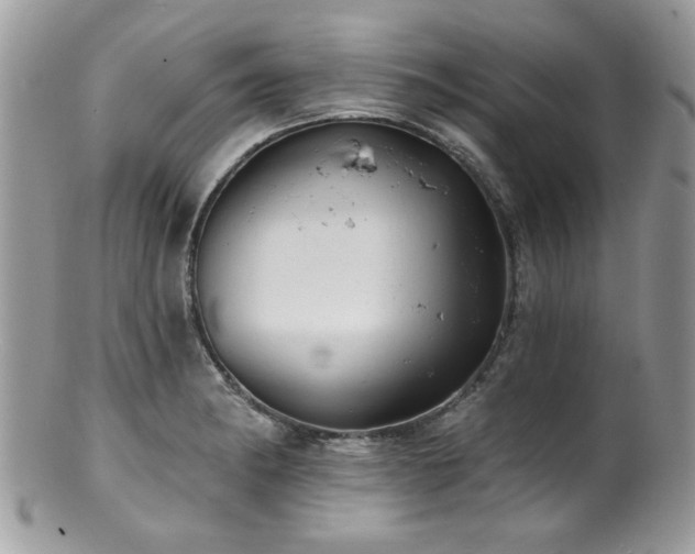 X0000100841182200806201143