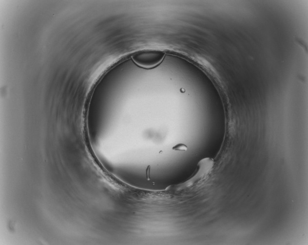 X0000100841183200806201143