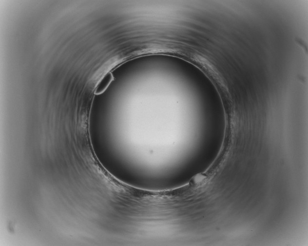 X0000100841185200806201143