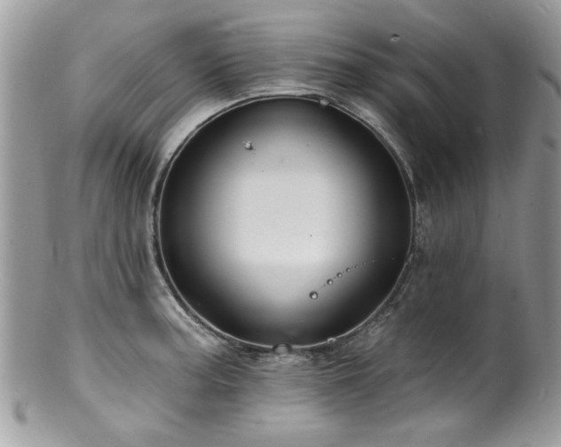 X0000100841187200806201143