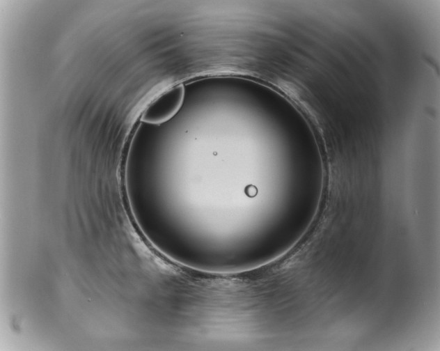 X0000100841189200806201143