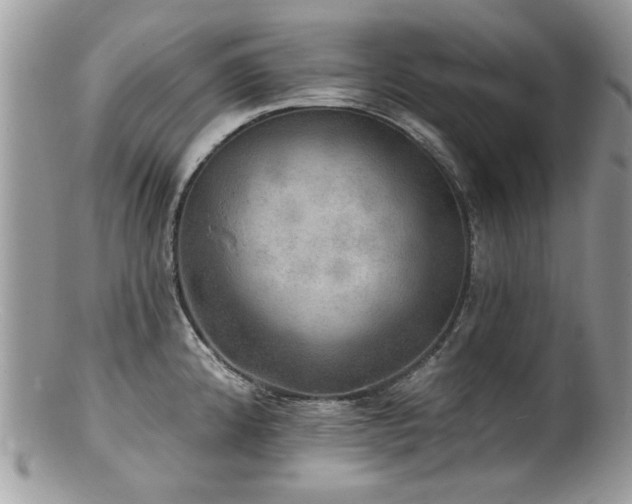 X0000100841192200806201143