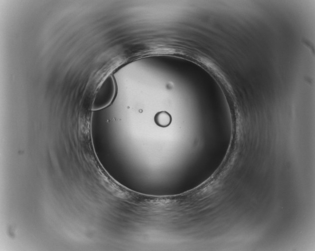 X0000100841193200806201143