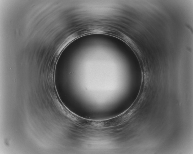 X0000100841194200806201143