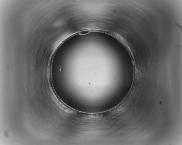 X0000100841195200806201143