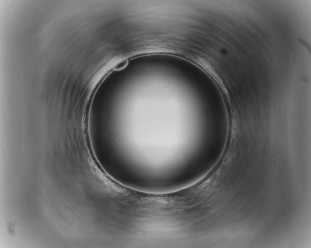 X0000100841197200806201143