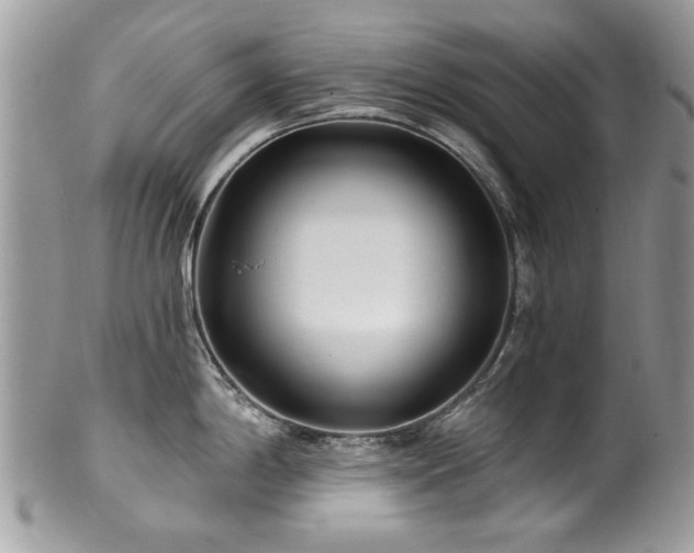 X0000100841198200806201143