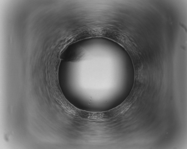 X0000100841201200806201142