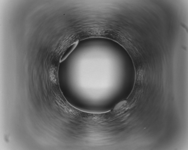 X0000100841202200806201142