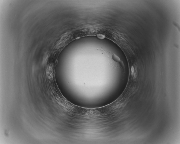 X0000100841203200806201142