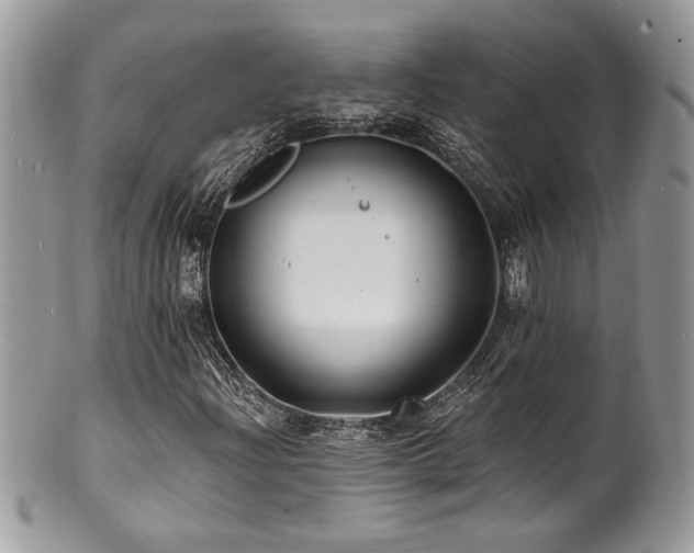 X0000100841204200806201142