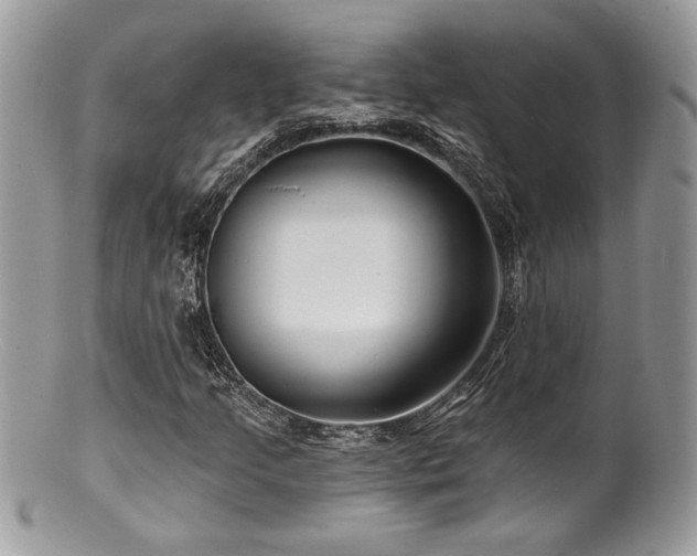 X0000100841205200806201142