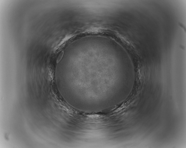 X0000100841206200806201142