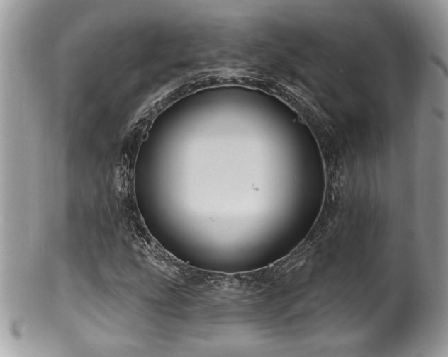 X0000100841207200806201142