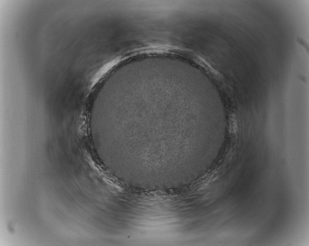 X0000100841208200806201142