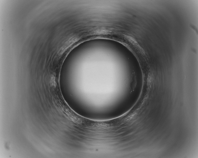 X0000100841209200806201142