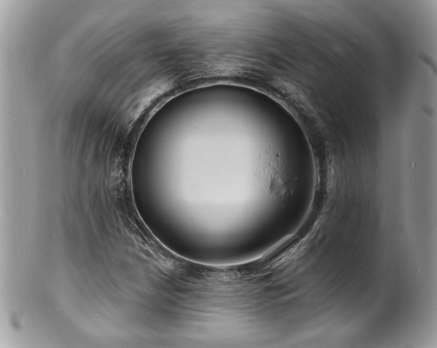 X0000100841210200806201142