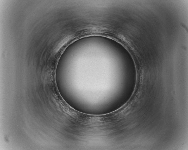 X0000100841211200806201142