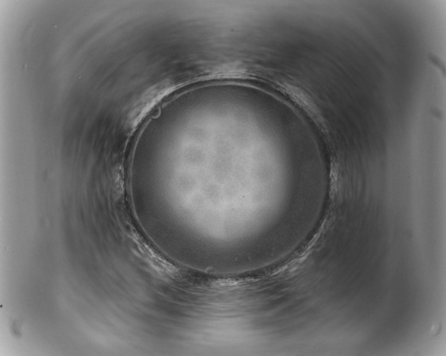 X0000100841212200806201142