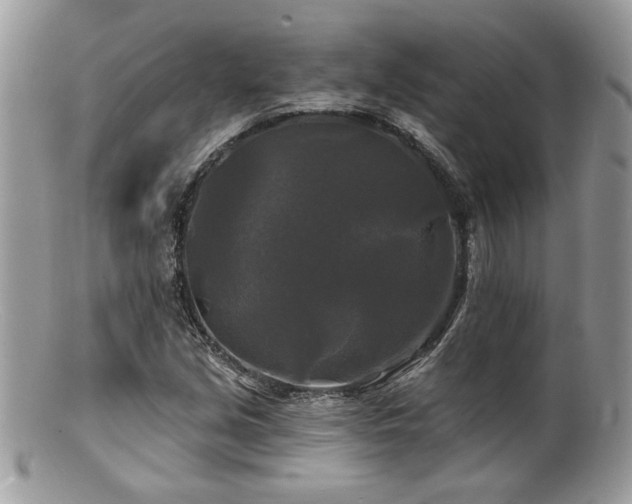 X0000100841213200806201142