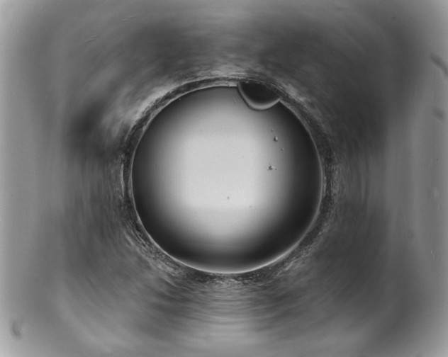 X0000100841214200806201142