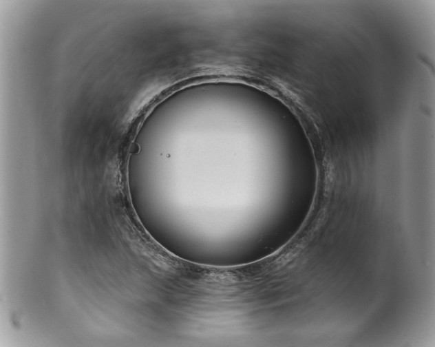 X0000100841215200806201142