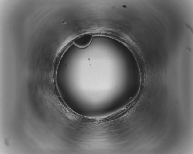 X0000100841216200806201142