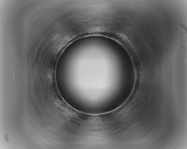 X0000100841217200806201142