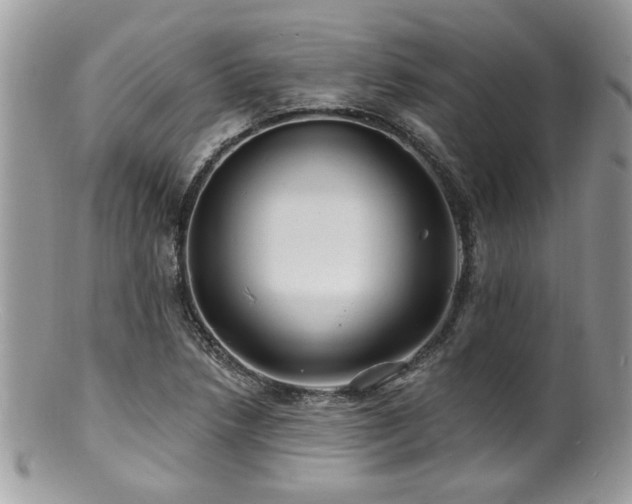 X0000100841218200806201142