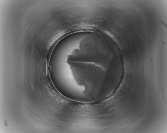 X0000100841219200806201142