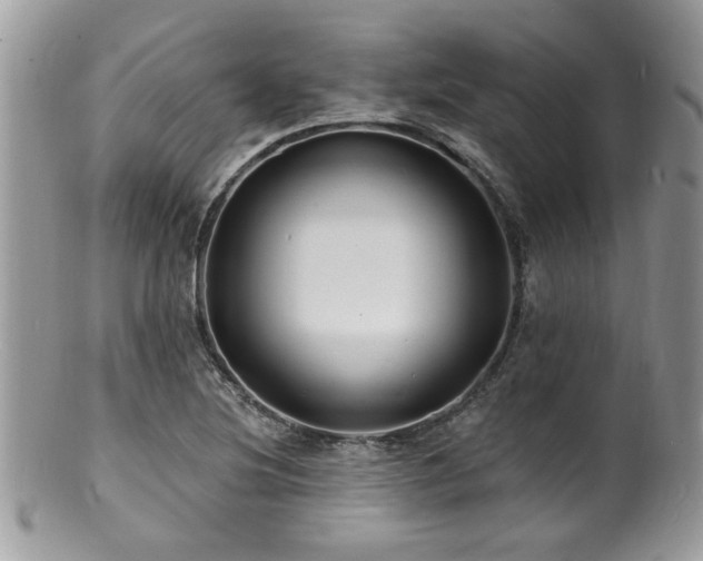 X0000100841220200806201142