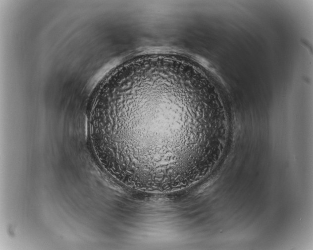 X0000100841221200806201142