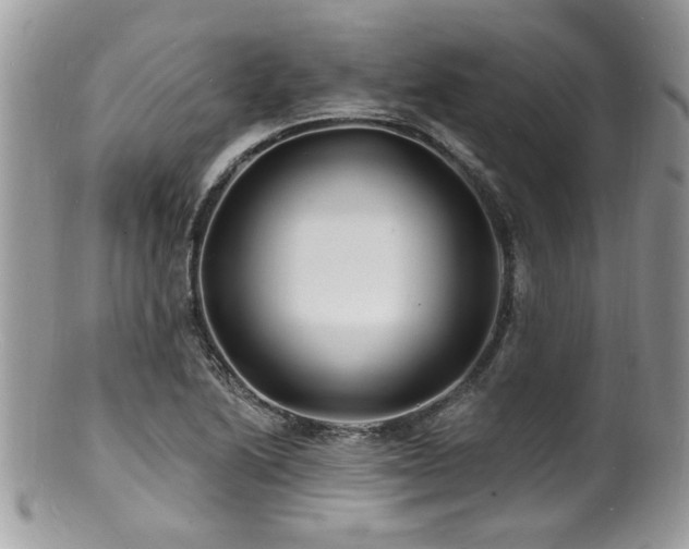 X0000100841222200806201142