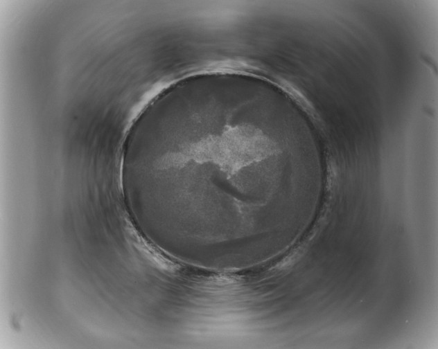 X0000100841224200806201142