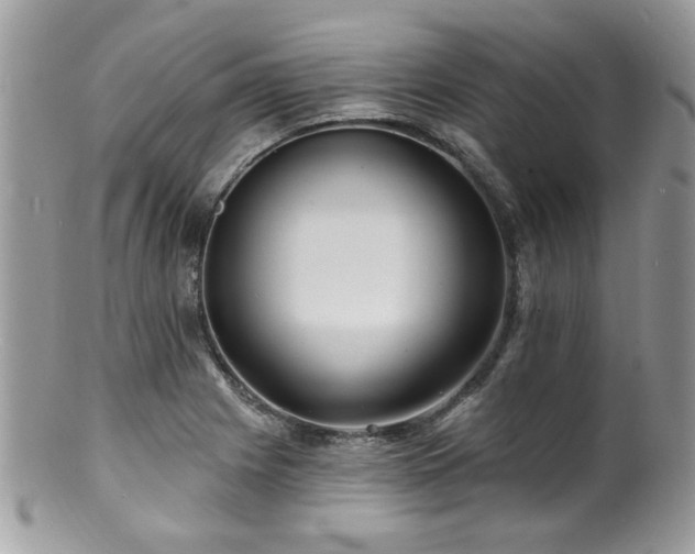 X0000100841225200806201143