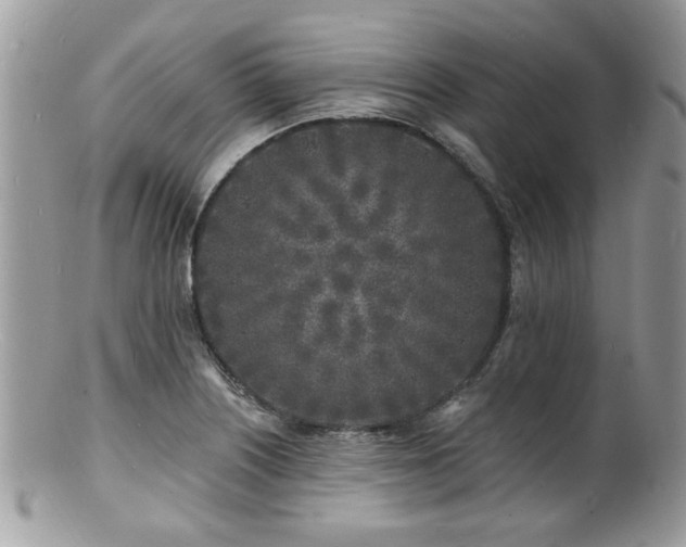 X0000100841226200806201143